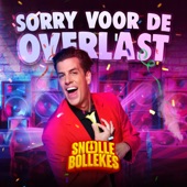 Sorry Voor De Overlast artwork