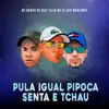 Pula Igual Pipoca Senta e Tchau - Single album lyrics, reviews, download