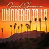 Wandered To LA - Single album lyrics, reviews, download