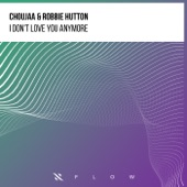 I Don't Love You Anymore (Extended Mix) artwork