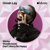 Winter Wonderland / Don't Worry Be Happy artwork