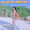 Santri Pekok - Single