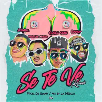 Se Te Ve (Remix) by Guelo Star, Jowell & Randy & Marconi Impara song reviws