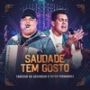 Saudade Tem Gosto (Ao Vivo) - Single, 2023