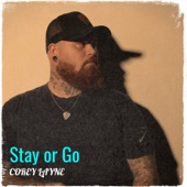 Stay or Go artwork