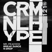 Break Dance N Drop (Extended Version) artwork