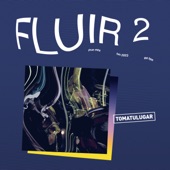 FLUIR 2 - EP artwork