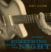 There's Something About the Night artwork