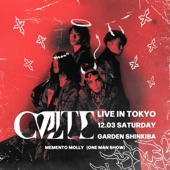 MEMENTO MOLLY (Live at Garden Shinkiba Factory 2022.12.03) [Video Album] artwork