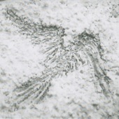 Gentle Stranger - (Angel In the Snow)