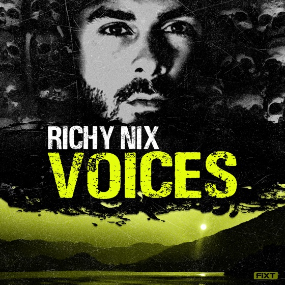 Cover artwork for Voices