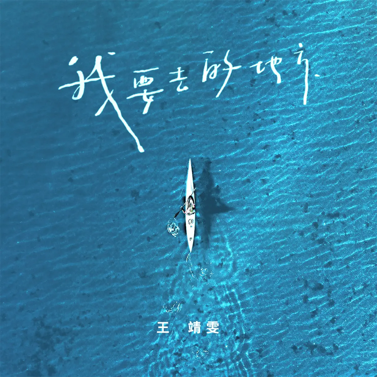 王靖雯 - 我要去的地方 - Single (2023) [iTunes Plus AAC M4A]-新房子