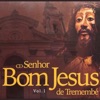 Bom Jesus de Tremembé