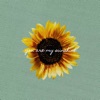 You Are My Sunshine - Single