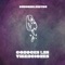 conoces las vibraciones - Buddhablessyou lyrics