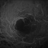 Nothingness - Single