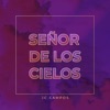 Señor de los Cielos - Single