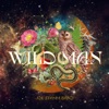 Wild Man - Single