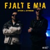 Fjalt E Mia - Single