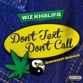 Don't Text Don't Call (feat. Snoop Dogg) artwork