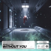 Without You artwork