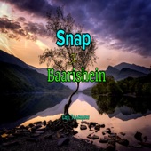 Snap x Baarishen artwork