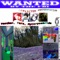 ##Wanted artwork