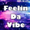 Feelin' Da Vibe - Single album lyrics, reviews, download