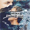 Fourteenth Wave (feat. MC Flipside) - Single