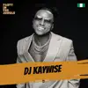 Party In The Jungle: DJ Kaywise, Jan 2022 (DJ Mix) album lyrics, reviews, download