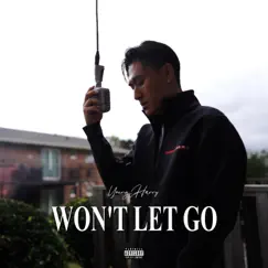 Won't Let Go - Single by Young Harry album reviews, ratings, credits