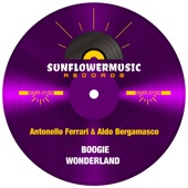 Boogie Wonderland (Antonello Ferrari & Aldo Bergamasco Club Mix) artwork