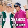 A Duo Con Amigos - Single