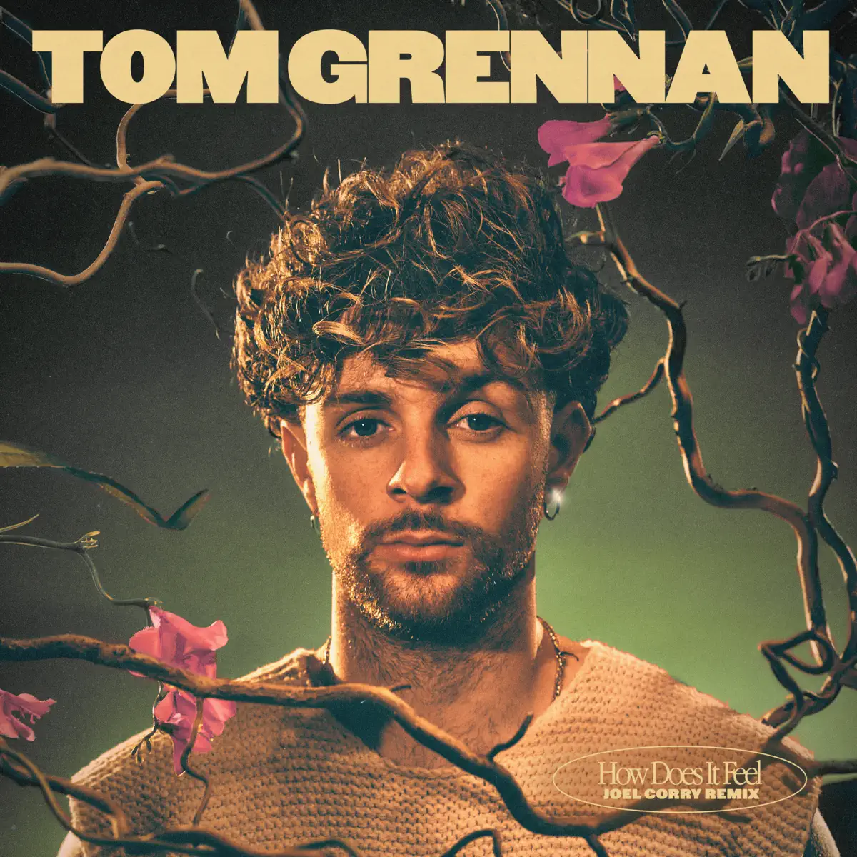 Tom Grennan - How Does It Feel (Joel Corry Remix) - Single (2023) [iTunes Plus AAC M4A]-新房子