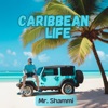 Caribbean Life (Club Mix) - Single