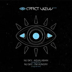 Aqualabian - Single by Nu Sky album reviews, ratings, credits