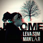 Leva Som Man Lär artwork