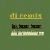 Tak Bosan Bosan Aku Memandangmu Dj Remix artwork