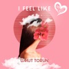 I Feel Like - Single