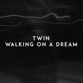 Walking on a Dream artwork