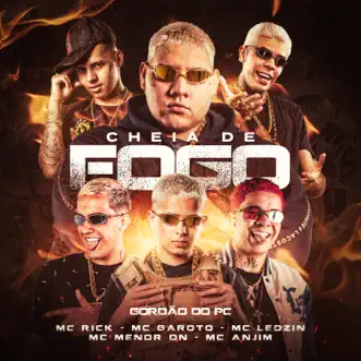 Cheia de Fogo by GORDÃO DO PC, MC Rick, Mc Menor DN, Mc Anjim, Mc Garoto & Mc Leozin song reviws