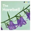 The Harebell - Single album lyrics, reviews, download