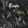 Cicada - Single album lyrics, reviews, download