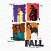 Fall (feat. Nviiri The Storyteller & Quamina Mp) [African Remix] artwork