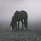 Aberfeldy - ilyons lyrics