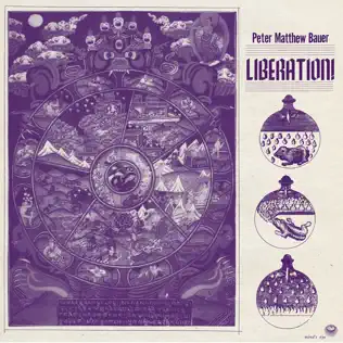 lataa albumi Peter Matthew Bauer - Liberation
