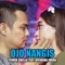Ojo Nangis (feat. Difarina Indra) artwork