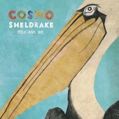 Cosmo Sheldrake - The Fly
