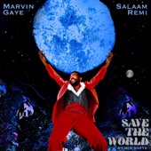 Save The World Remix Suite - EP artwork