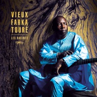Vieux Farka Touré - Les Racines